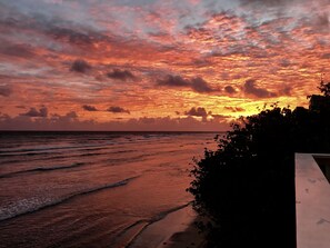 على الشاطئ، كراسي للتشمس، مناشف للشاطئ