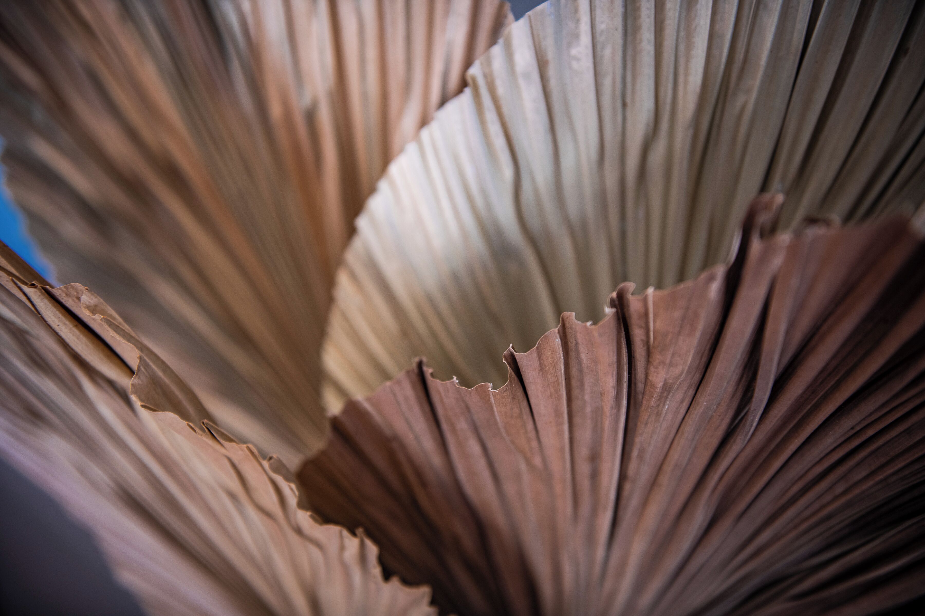 A close-up of a textured surface with a ribbed pattern.
