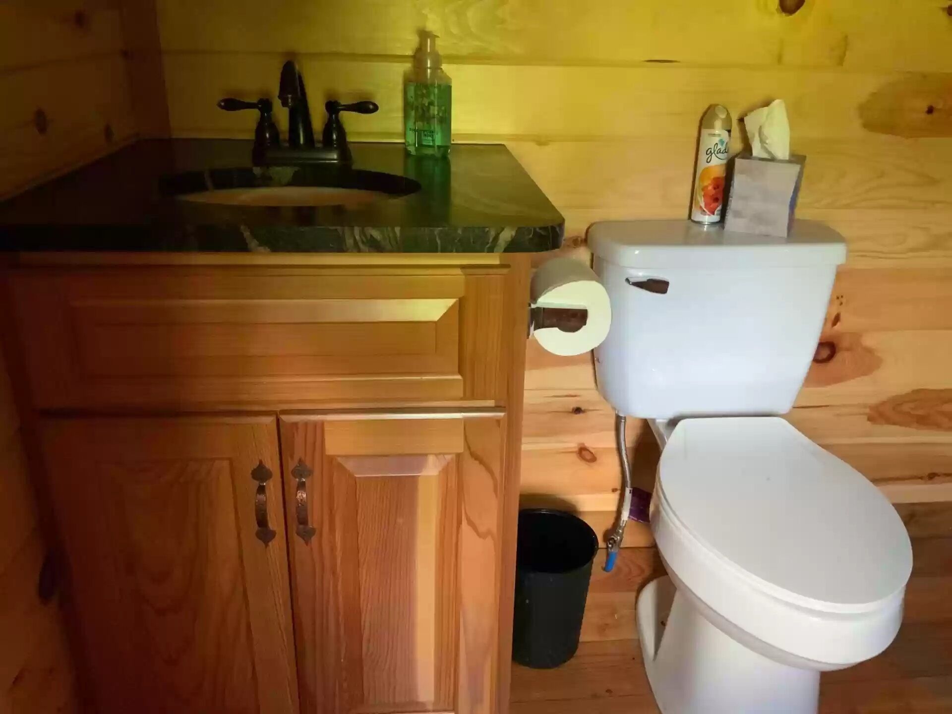 Une salle de bain de style rustique, avec des murs en bois, comprenant un lavabo, des toilettes et une poubelle.