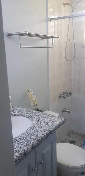 Shower, rainfall showerhead, free toiletries, towels - Gated Studio By The Pavillian Mall Near US Embassy Liguanea Kingston (Kingston)