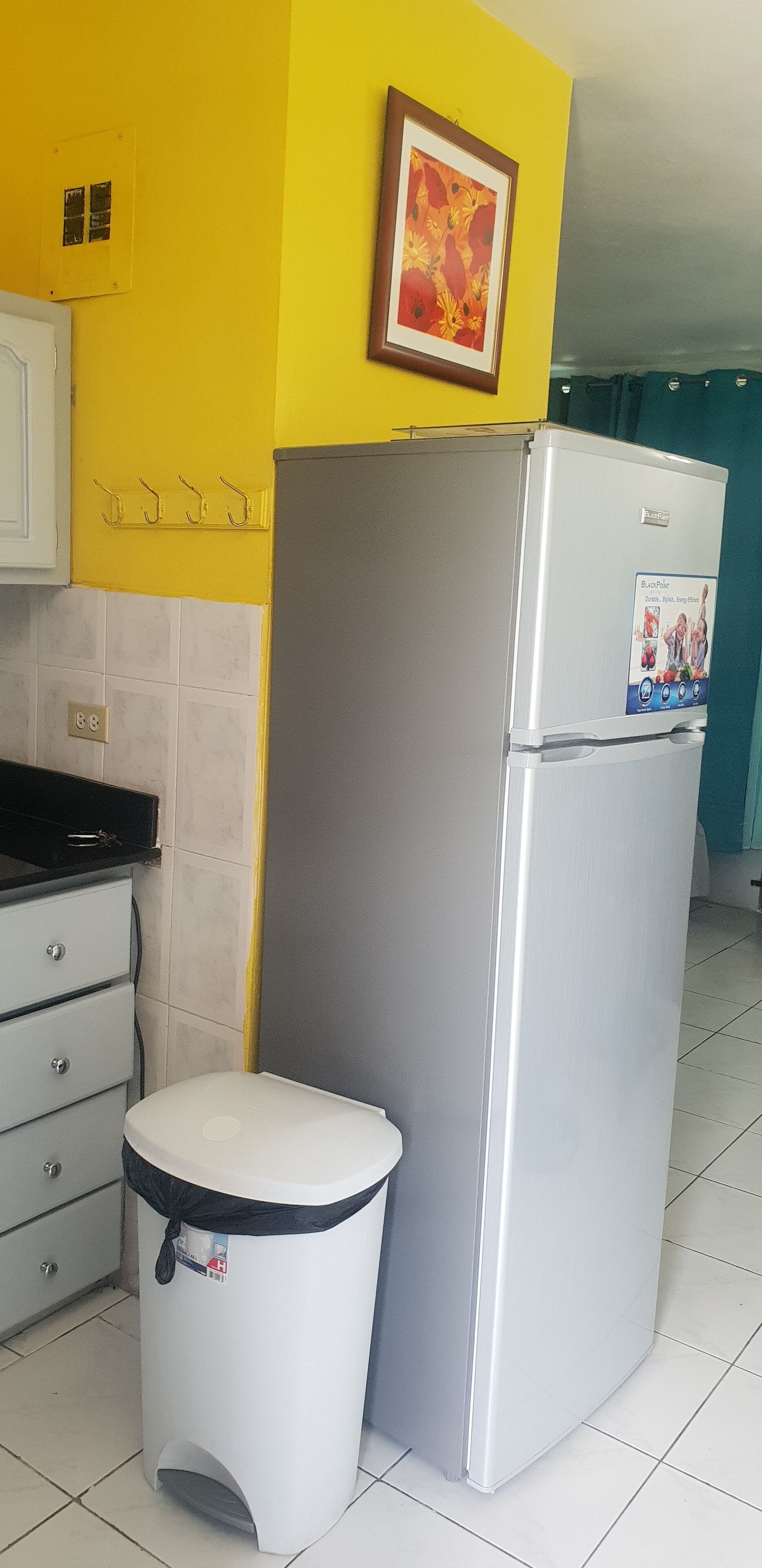 Full-size fridge, microwave, oven, toaster
