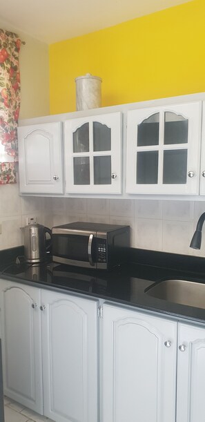 Full-size fridge, microwave, oven, toaster