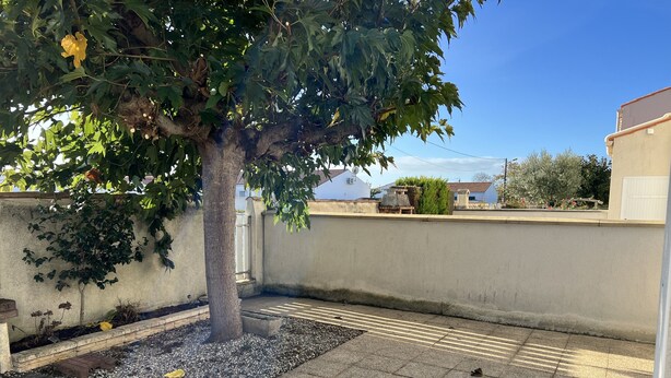 Un patio con un árbol, un muro bajo y una zona pavimentada con sistema de drenaje.
