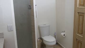 Une salle de bain avec des toilettes, une douche et un lavabo.