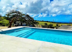 Outdoor pool - Historic sea view 1 bed apartment in restored stone house (Four Hill)