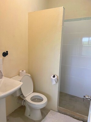 Shower, hair dryer, towels, soap - Historic sea view 1 bed apartment in restored stone house (Four Hill)