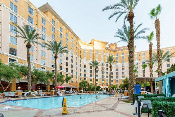 Relax by the hotel's central pool surrounded by palm trees and lounge chairs.