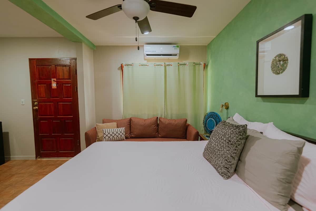 Un dormitorio con cama, ventilador de techo, puerta roja, pared verde y equipo de aire acondicionado.