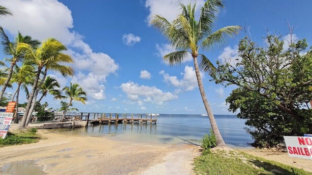 A beach with a wooden pier extending into calm waters, surrounded by palm trees and a clear sky. - Beautiful Modern House in Key Largo (Key Largo)