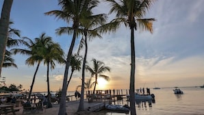 A beach scene with palm trees, a wooden pier, and boats. - Beautiful Modern House in Key Largo (Key Largo)
