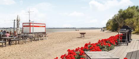 صيد الأسماك