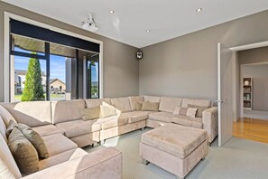 Smart TV, fireplace, books