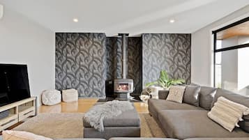 Smart TV, fireplace, books