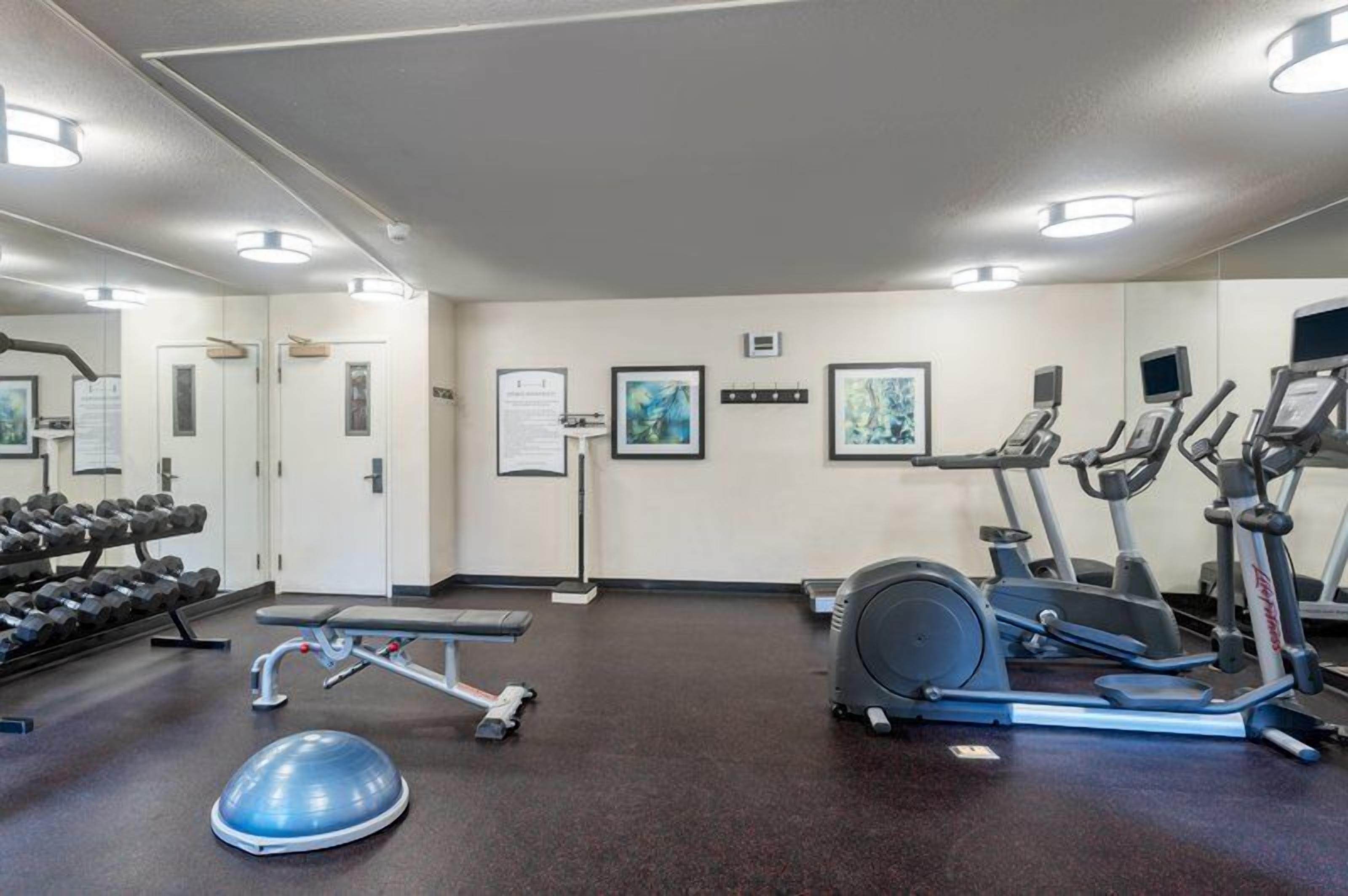 Een sportschool met trainingsapparatuur, een bank en gewichten.