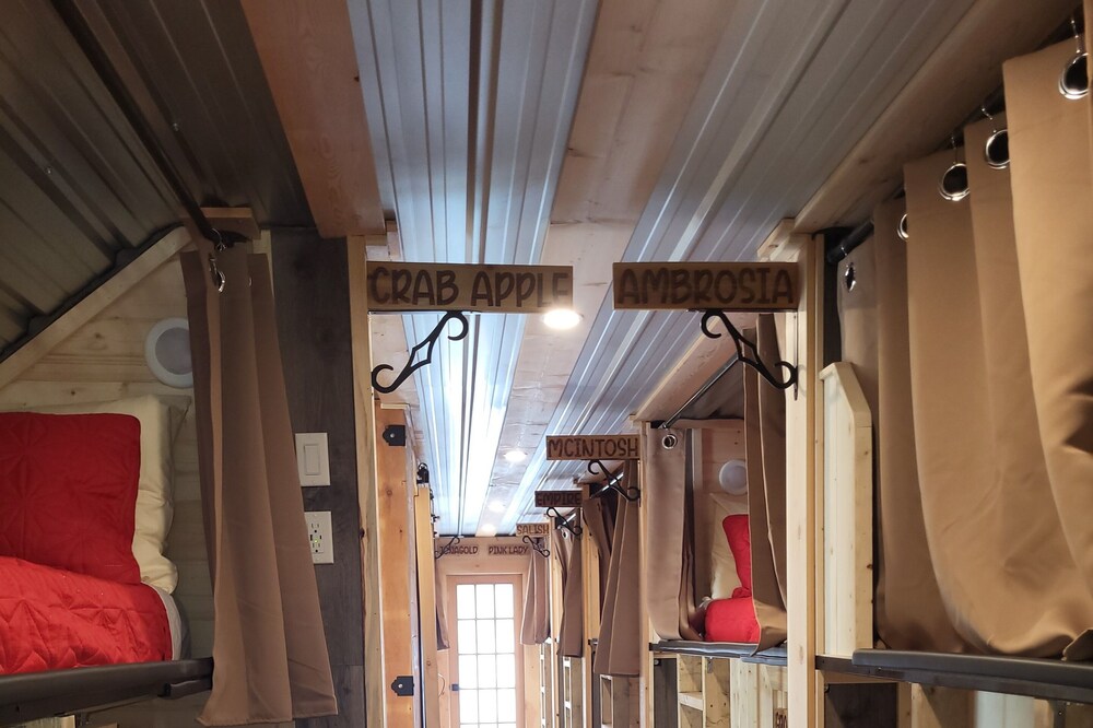 The Orchard Hostel Private Bunks