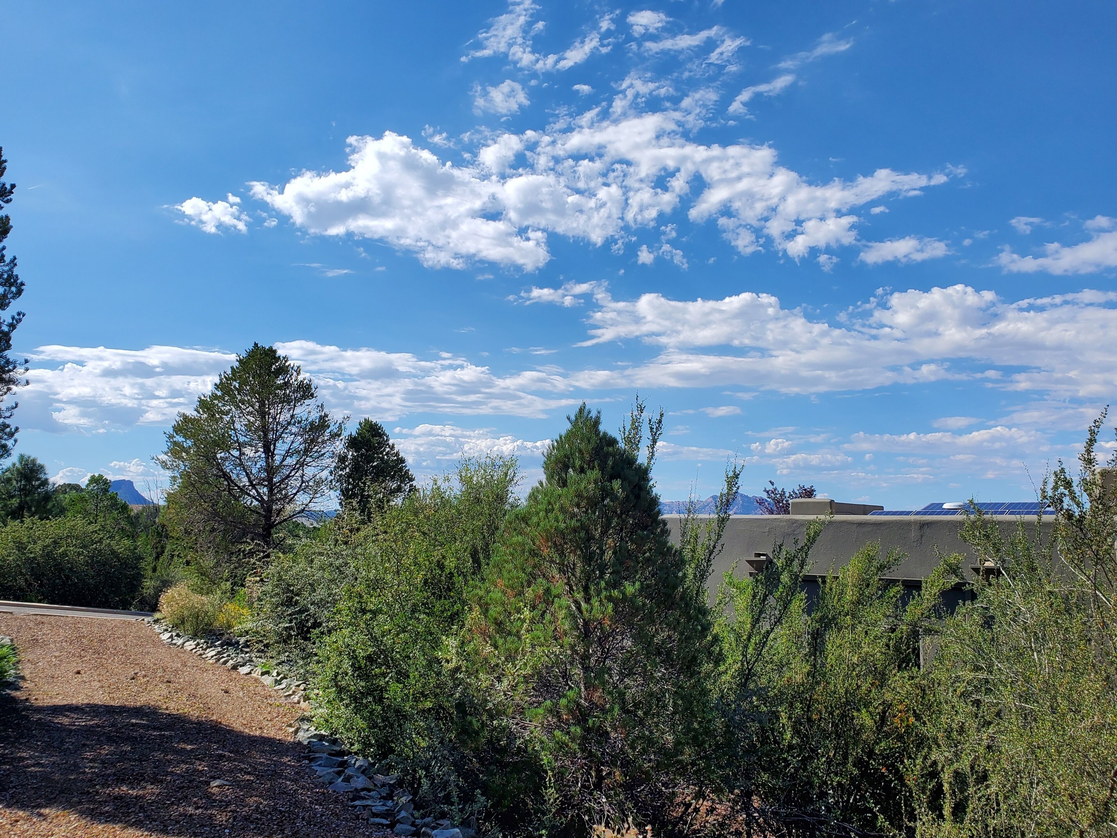 Great location, next to Acker Park, quiet and a short walk to downtown!