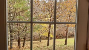 Blick durch ein Fenster mit Gittermuster, zeigt eine Rasenfläche mit Bäumen und einem Gewässer im Hintergrund.