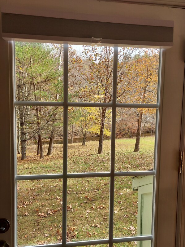 A view through a window with a grid pattern, displaying a grassy area with trees and a body of water in the background.