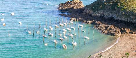 Beach nearby, fishing