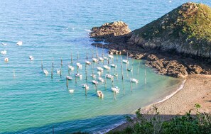 Beach nearby, fishing