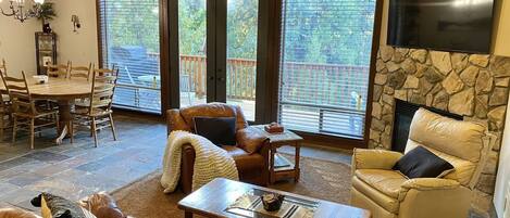 TV connectée, cheminée, lecteur de DVD, livres