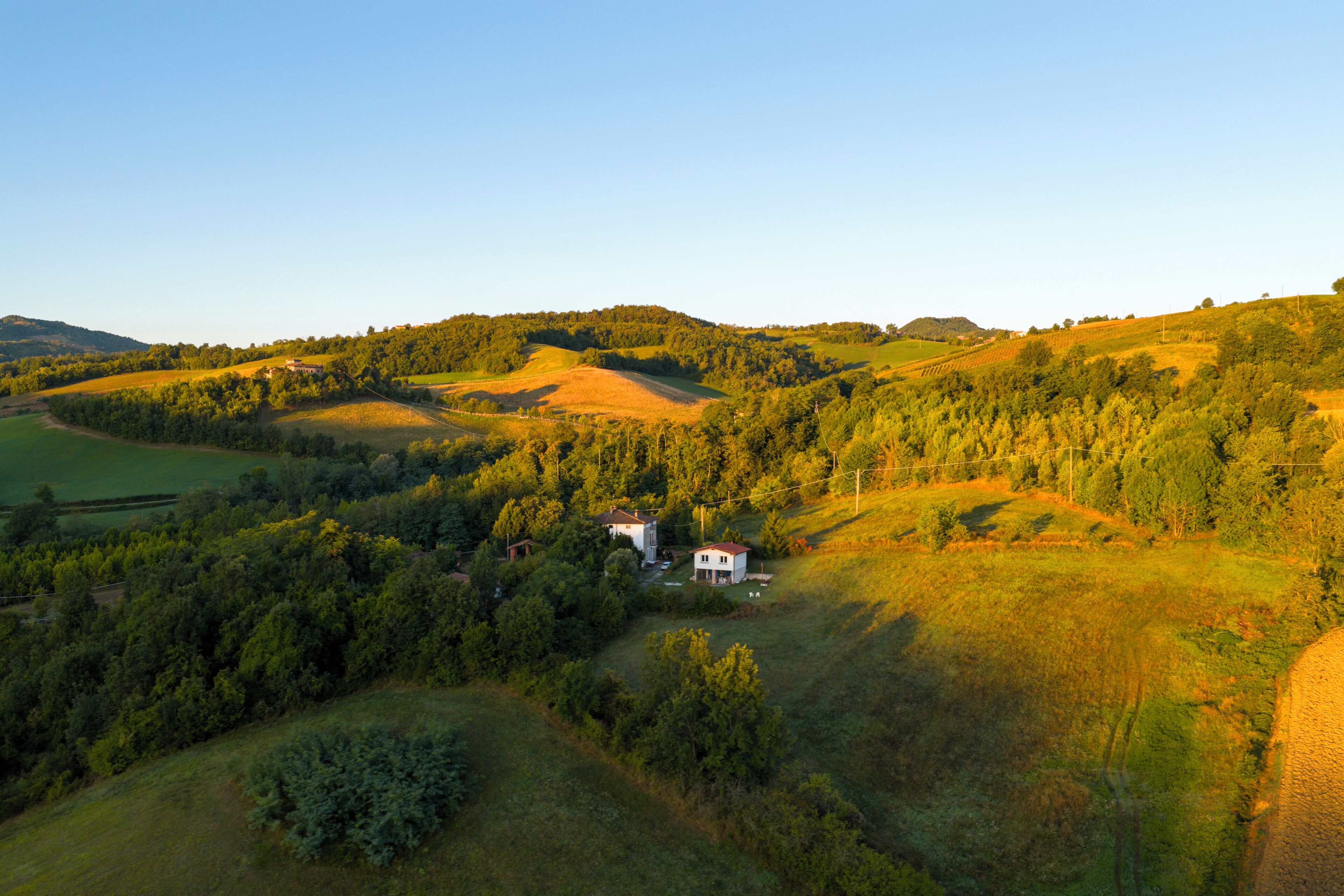 A rural landscape with rolling hills, a small white house surrounded by dense trees, and a clear sky.