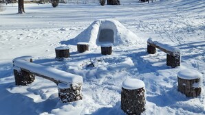 A snow-covered outdoor area with wooden stumps and a snowman structure. - Charming home with a pool (Michigan City)