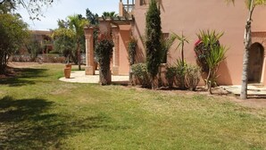 A courtyard with a building featuring a brick facade, a palm tree, and various plants.