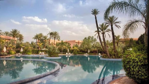 A pool area with palm trees and lounge chairs.
