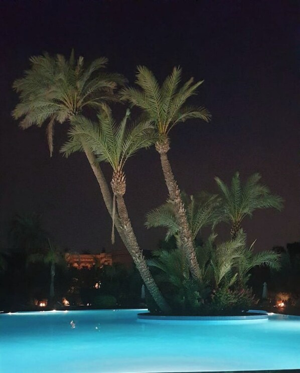 A nighttime view of a pool area with palm trees and a building in the background.