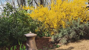 Un jardin agrémenté d’un barbecue extérieur de style rustique et de deux fauteuils en osier jaune.