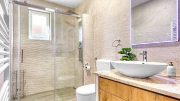 Shower, hair dryer, towels