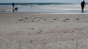 Ein Strand mit Fußspuren, einer Person, die entlanggeht, und dem Meer im Hintergrund.