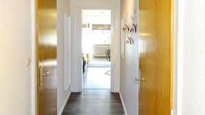 Apartamento (kleiner Seehund) | Parte interna