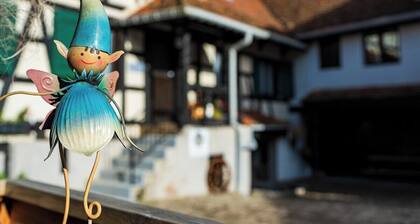 Prunier- Gites 4 people- Alsace Wine Route