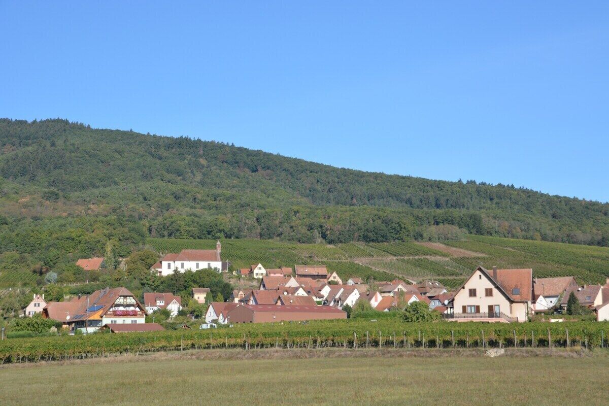 Uma aldeia rural com casas e vinhedos.