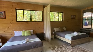 1 chambre, fer et planche à repasser, accès à Internet, literie fournie