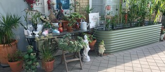 Adorable Country Studio (pet friendly) additional charges