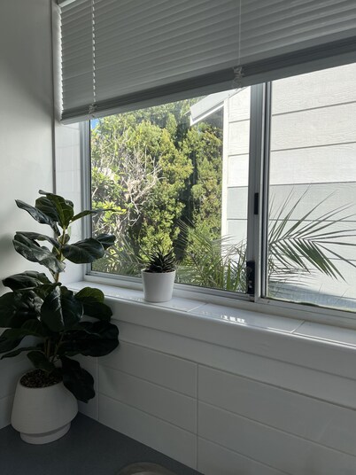 Adorable Country Studio (pet friendly) additional charges