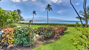 A lush garden with a variety of plants and palm trees, leading to a view of the ocean and a mountain in the distance. - Stunning Direct Oceanfront home on the beach, AC, pool, spa (Wailuku)