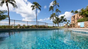A clear swimming pool with palm trees and a stone wall in the background. - Stunning Direct Oceanfront home on the beach, AC, pool, spa (Wailuku)
