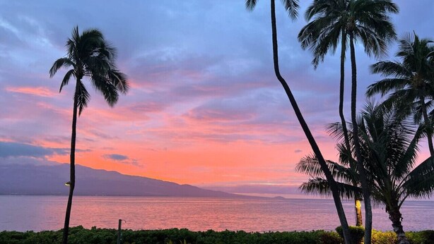 A sunset view with palm trees and a chair by the water. - Stunning Direct Oceanfront home on the beach, AC, pool, spa (Wailuku)