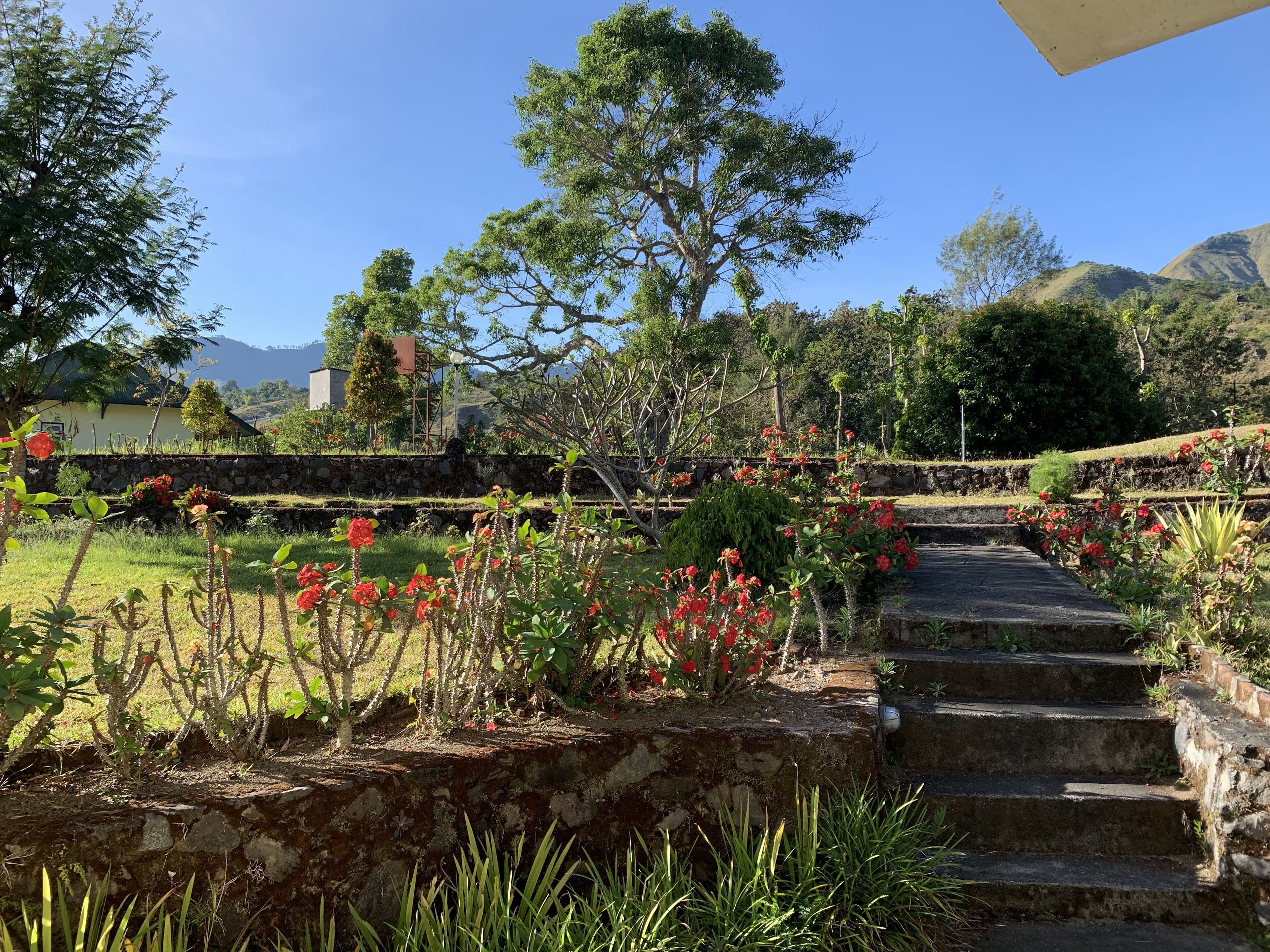 Vista frontal de la propiedad