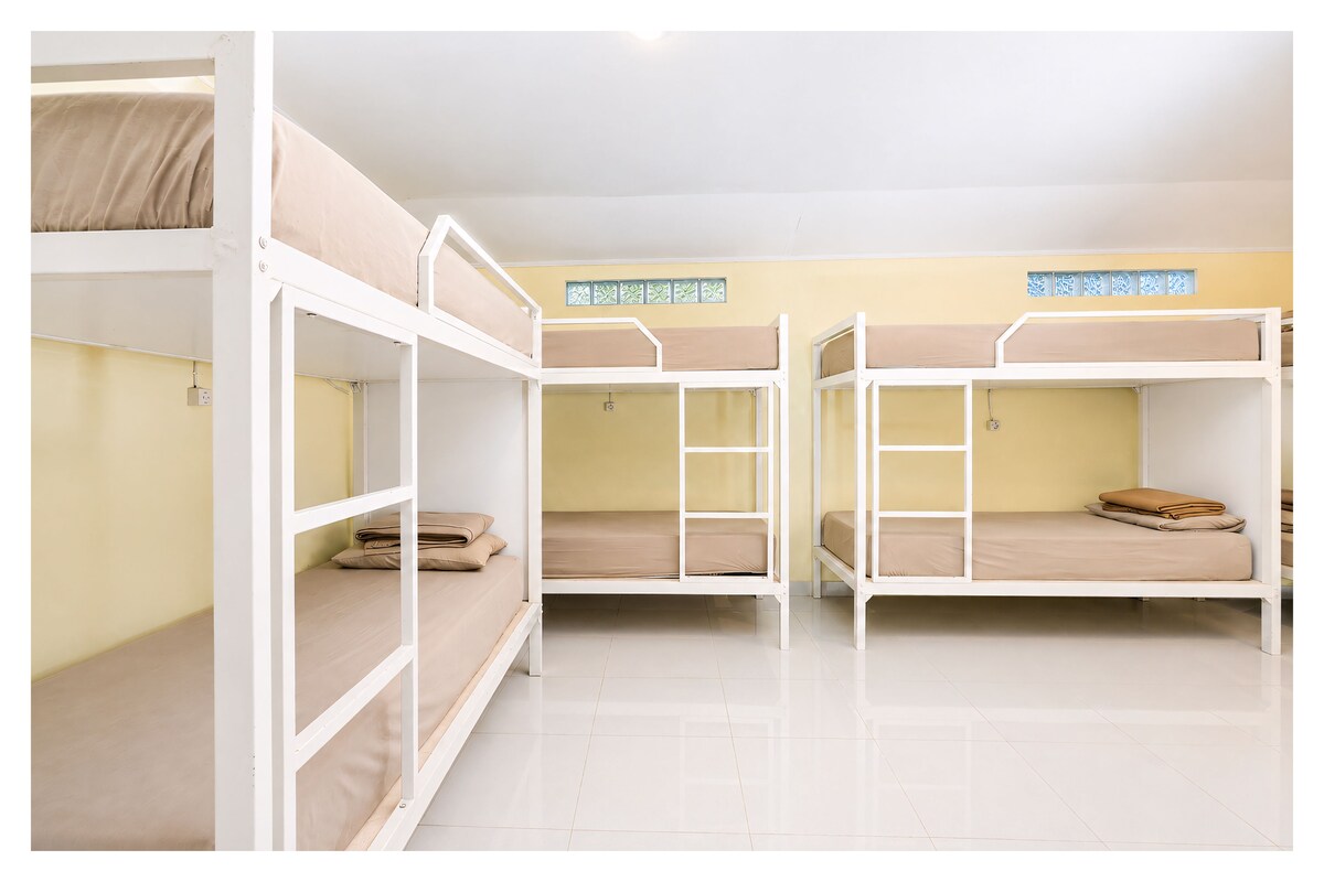 Basic Single Room | Desk, rollaway beds (surcharge), bed sheets
