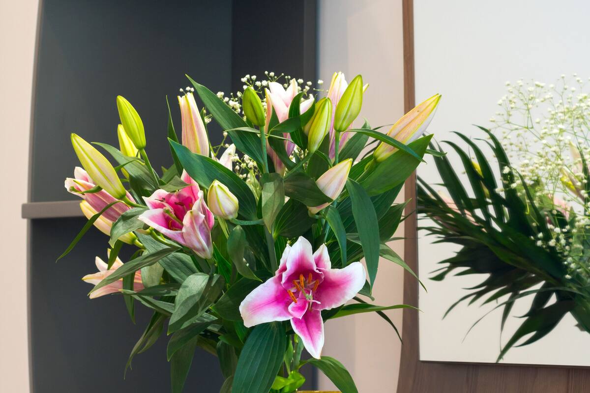 Televisi LED 32-inci dengan saluran TV satelit dan TV