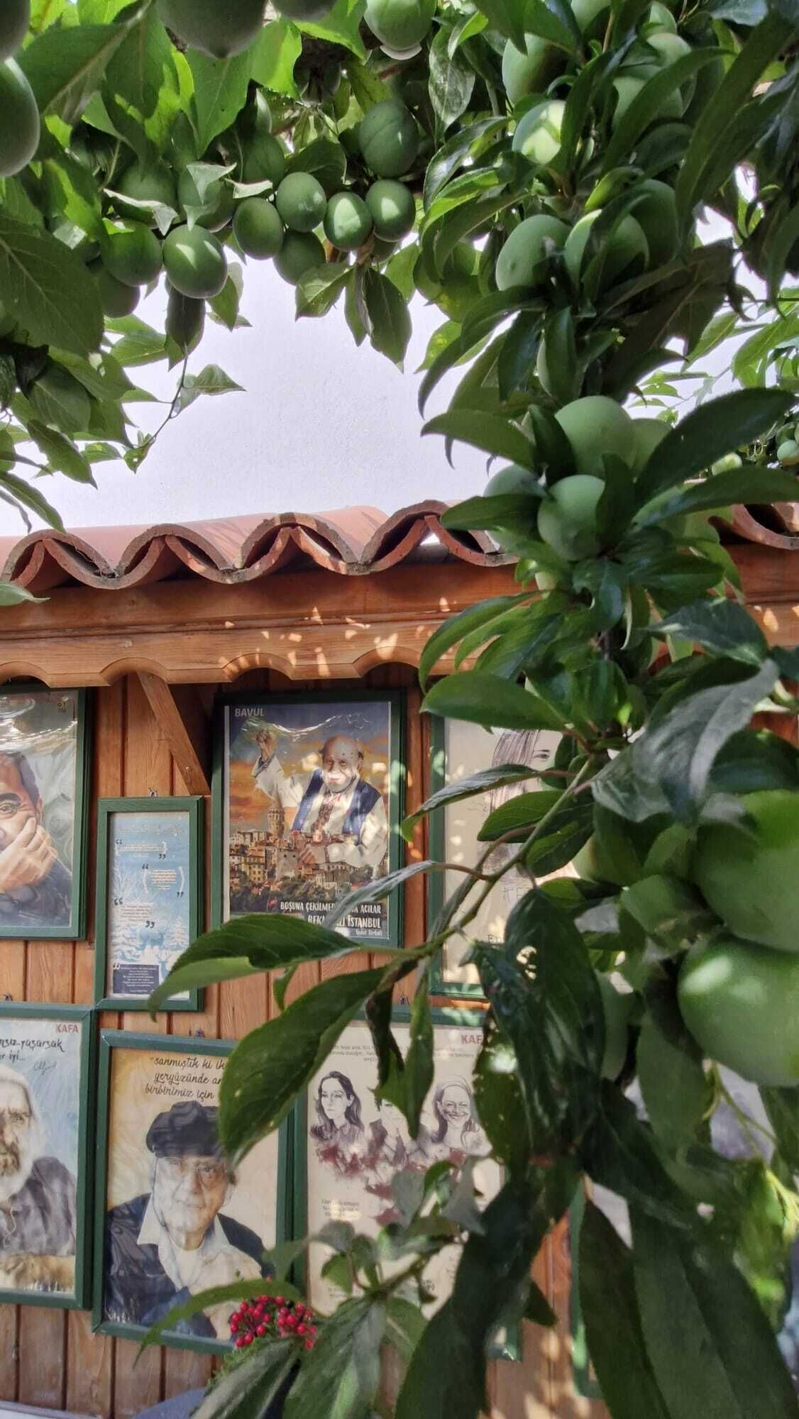 Un bâtiment doté d’un toit recouvert de tuiles, de cadres contenant des photos et de feuillage verdoyant.