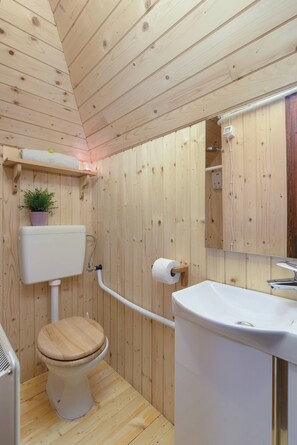Chalet, 3 Bedrooms, Terrace, Mountain View | Bathroom | Shampoo
