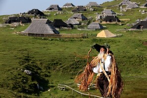 A rural village with traditional houses on a hillside. - Chalet Pehta - Velika Planina (Kamnik)