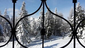 A snow-covered landscape with a metal fence in the foreground. - Chalet Pehta - Velika Planina (Kamnik)