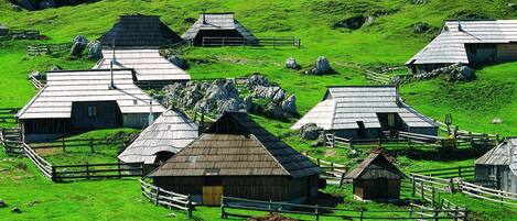 Chalet, 3 Bedrooms, Mountain View | Property grounds